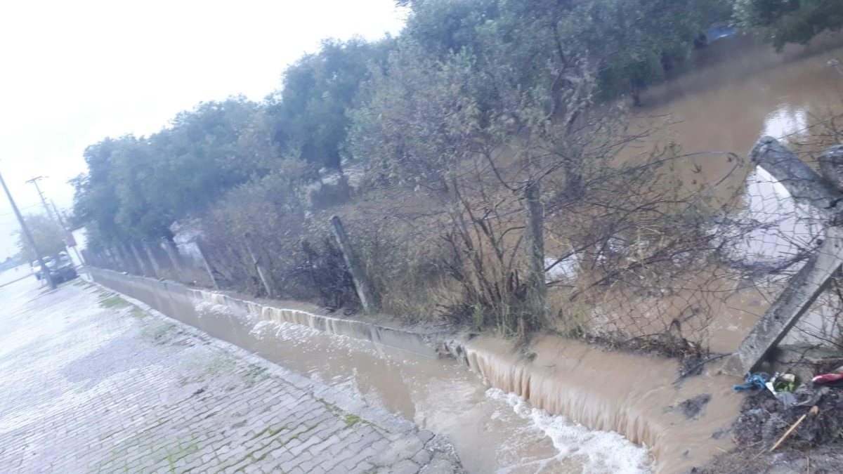 Germencik Gümüşköy seralarına su bastı