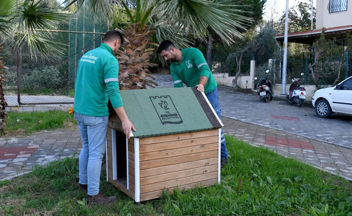 Can dostların yuvaları kışa hazır