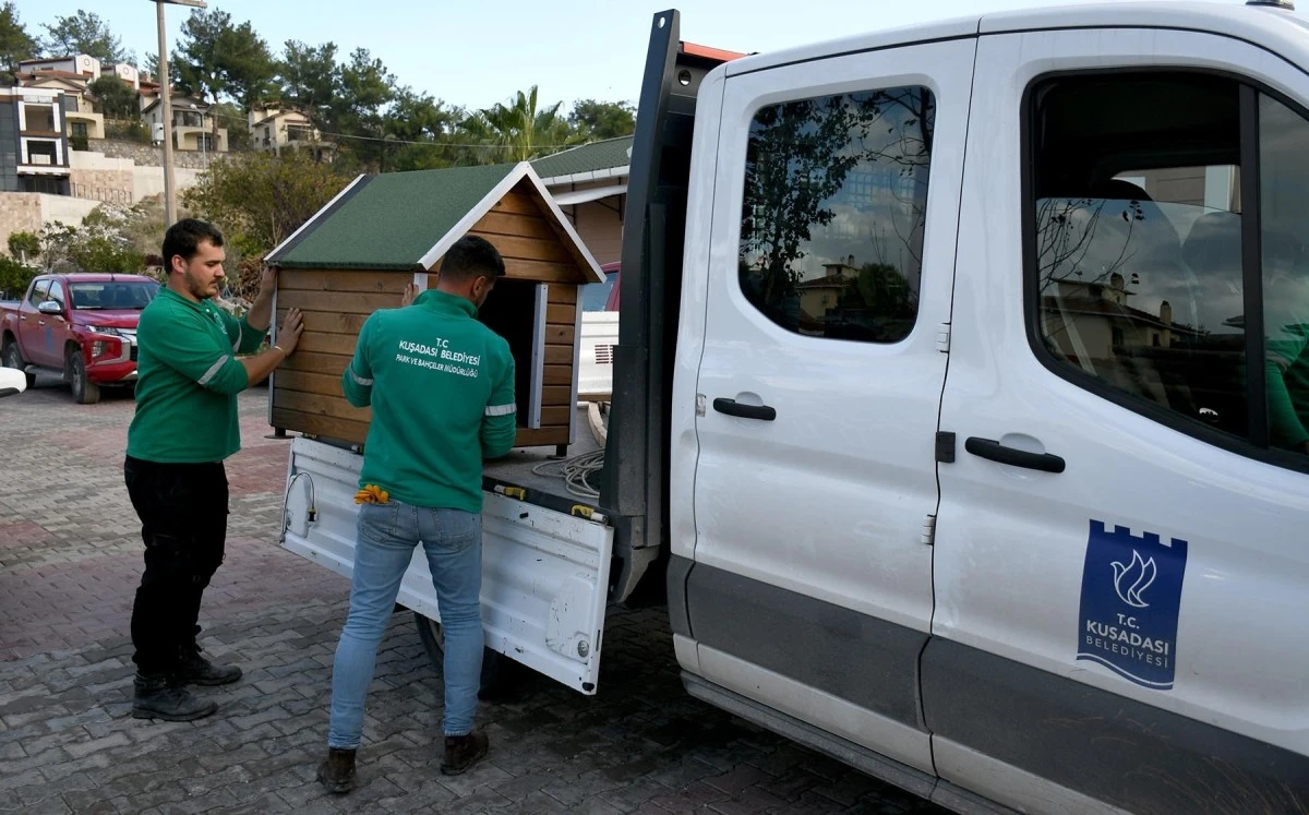 Can dostların yuvaları kışa hazır