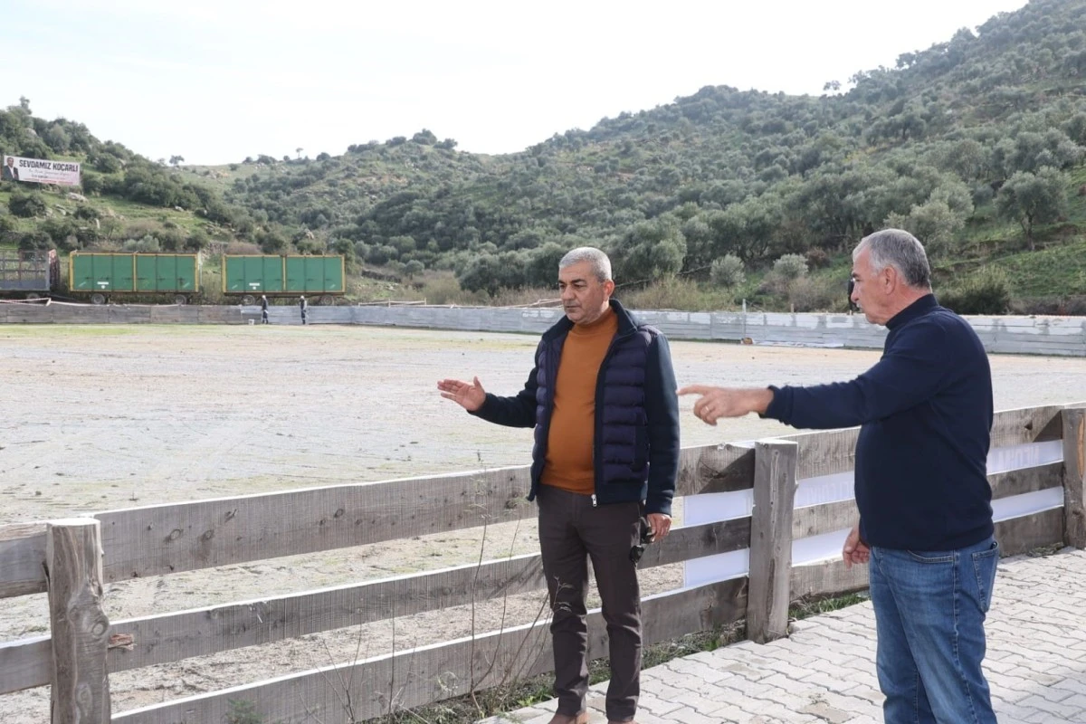 Koçarlı arenası deve güreşine hazır