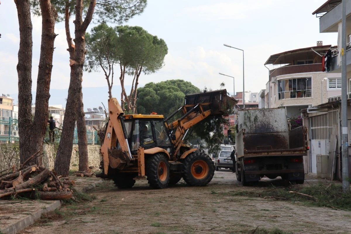 Nazilli’de kış hazırlıkları devam ediyor