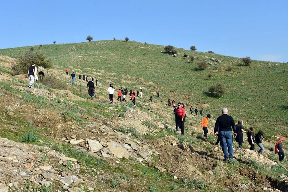 Aydın'da yürütülen proje kapsamında fıstık çamı ve akasya ağacı dikimi yapıldı