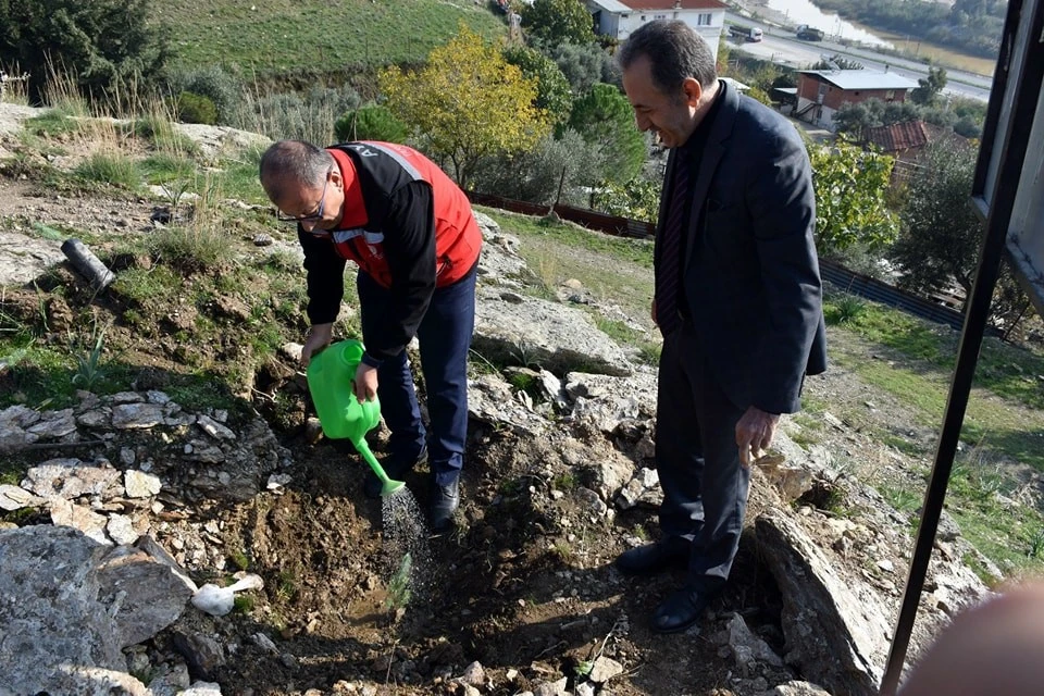 Aydın'da yürütülen proje kapsamında fıstık çamı ve akasya ağacı dikimi yapıldı