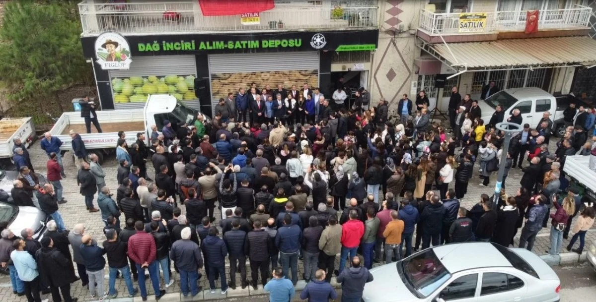 Halit Germen, Germencik’e talip