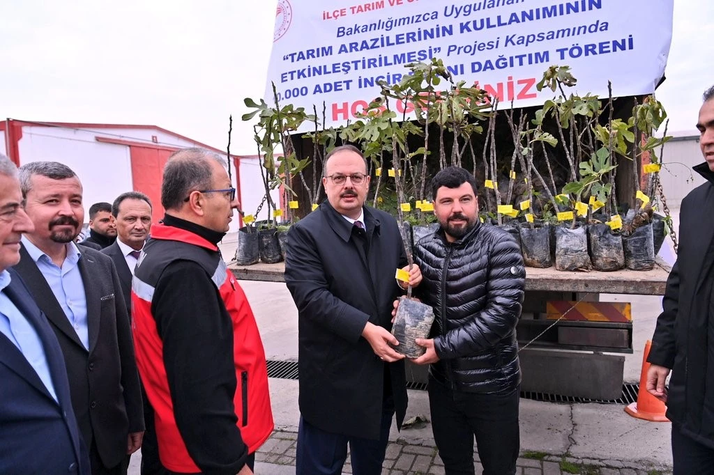 Aydın'da üreticilere 10 bin adet sarı lop incir fidanı dağıtıldı