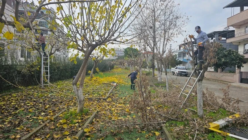 Köşk Belediyesi, yeşil alanların bakım çalışmalarını sürdürüyor