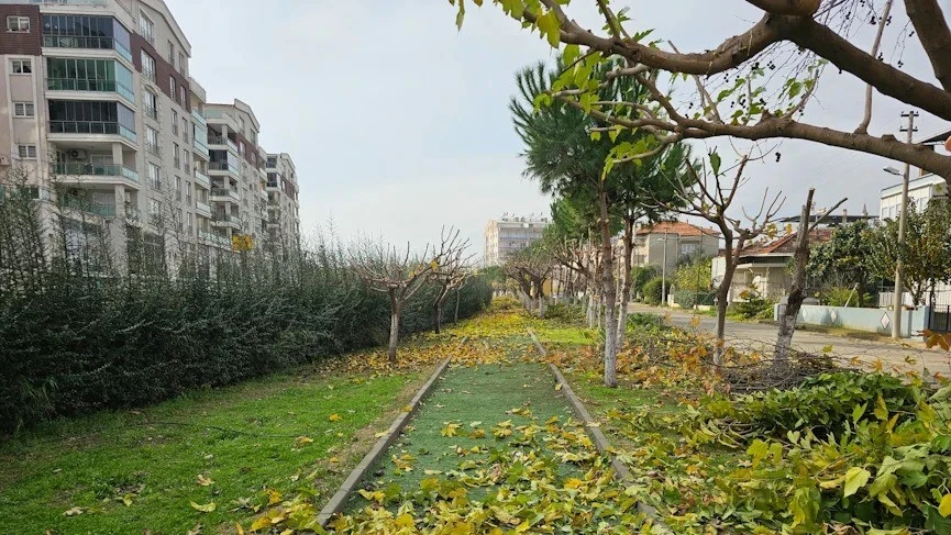 Köşk Belediyesi, yeşil alanların bakım çalışmalarını sürdürüyor