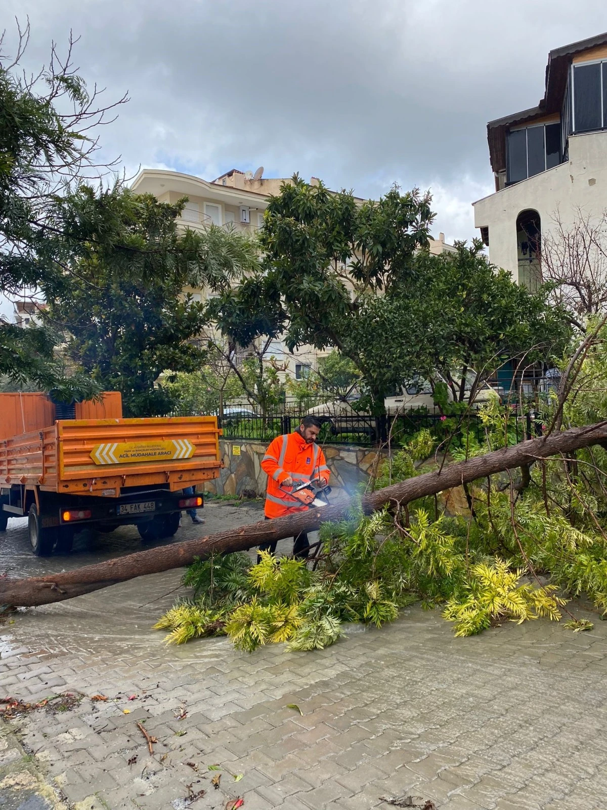 Kuşadası Belediyesi tüm ekipleriyle sahada