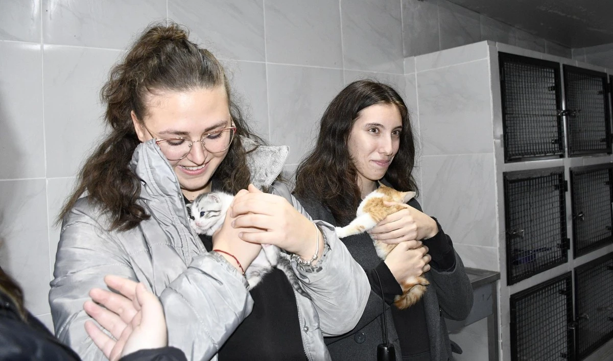 Kuşadası'nda öğrenciler can dostları besledi