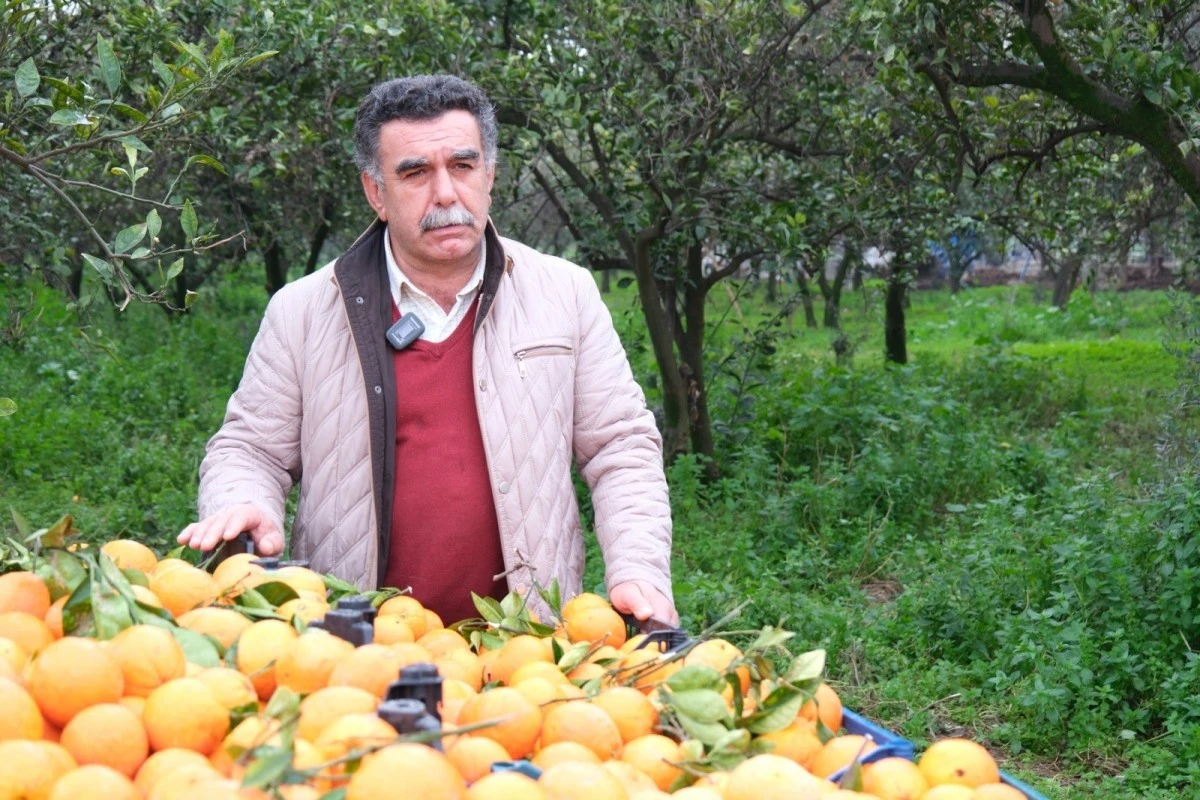 Aydın Büyükşehir’den üreticiye destek