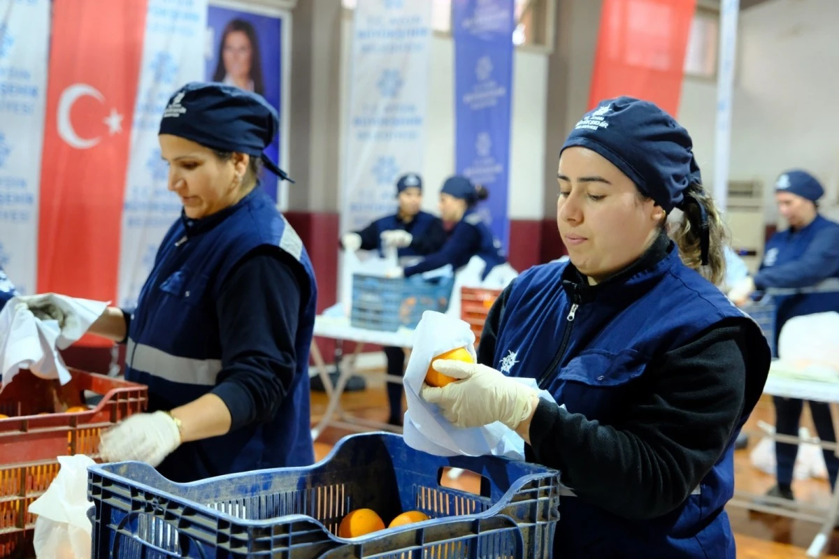 Aydın Büyükşehir’den üreticiye destek