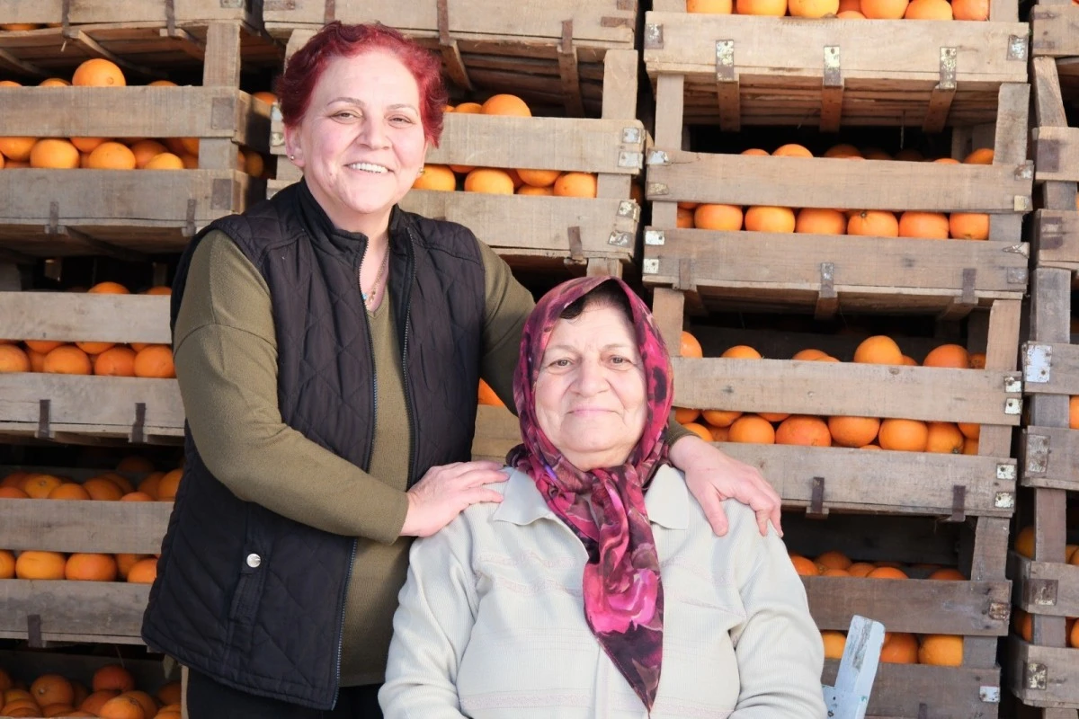 Aydın Büyükşehir’den üreticiye destek