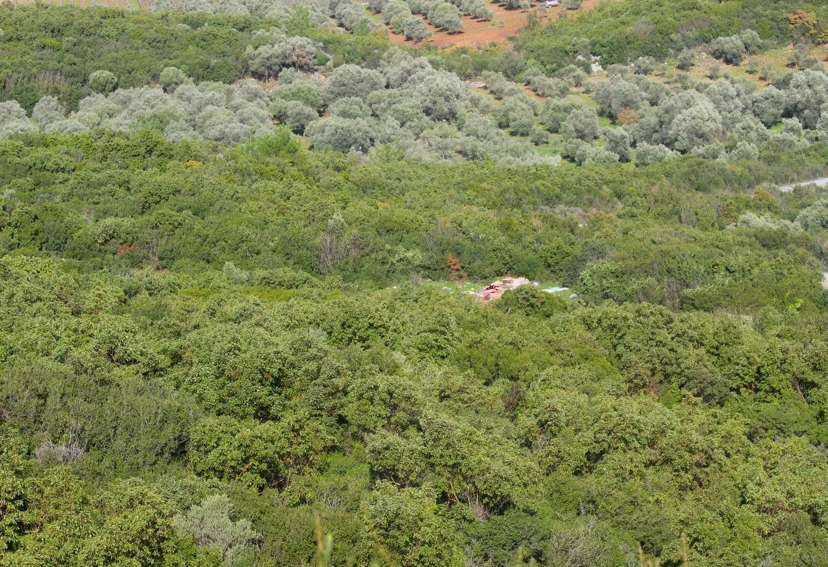 EKODOSD’tan temiz doğa uyarısı