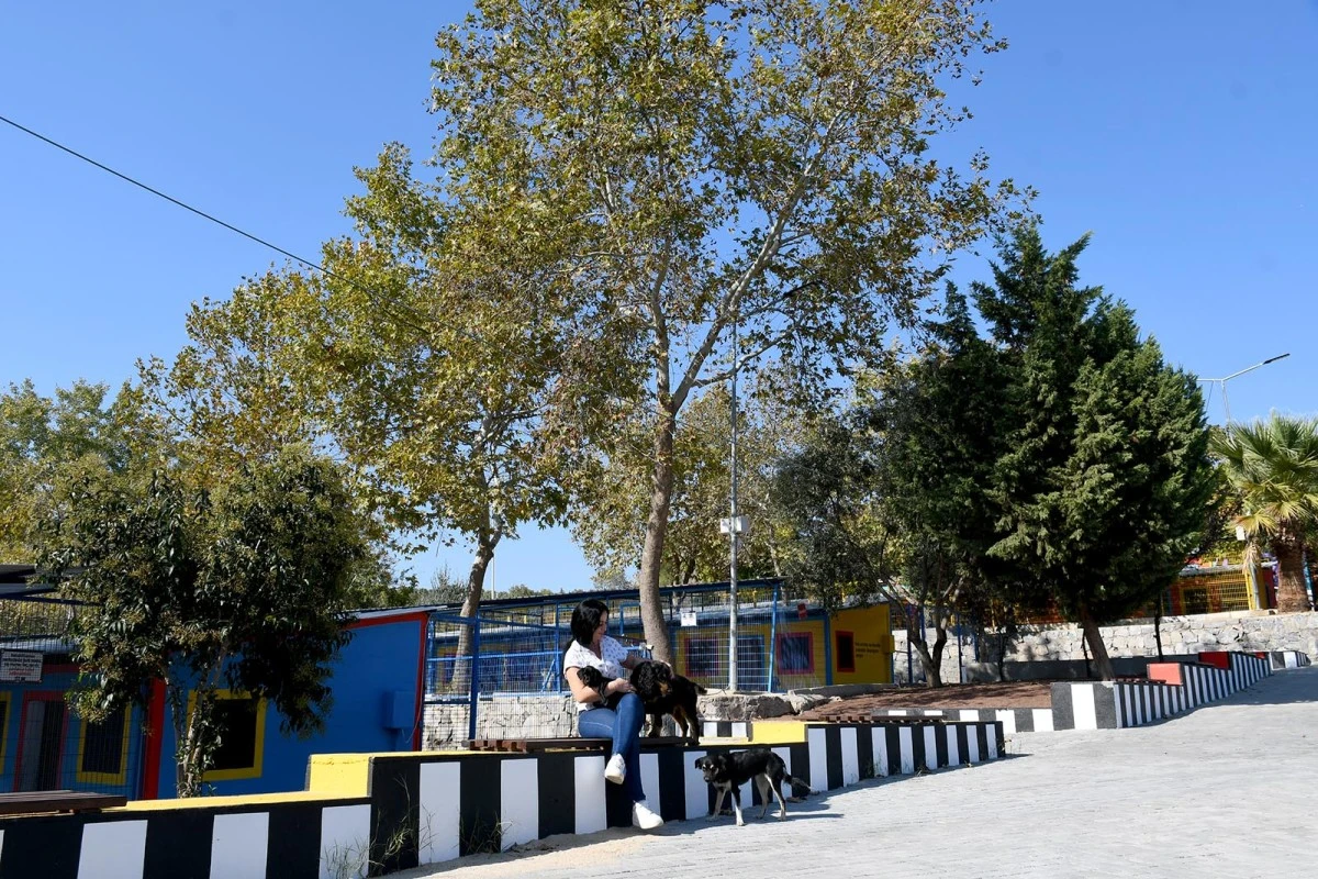 BAŞKAN ÖMER GÜNEL”HAYVAN DOSTU KENT” HEDEFİNE ULAŞTI 