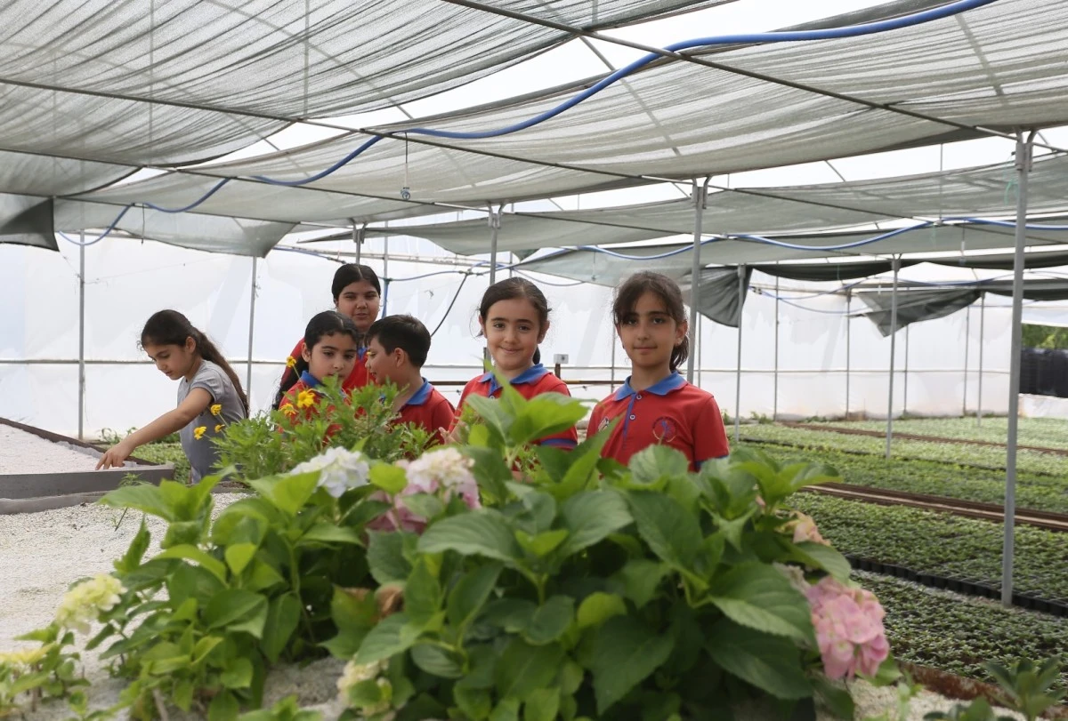 ÖĞRENCİLER BÜYÜKŞEHİR BELEDİYESİ’NİN FİDANLIĞINDA DERS İŞLEDİ