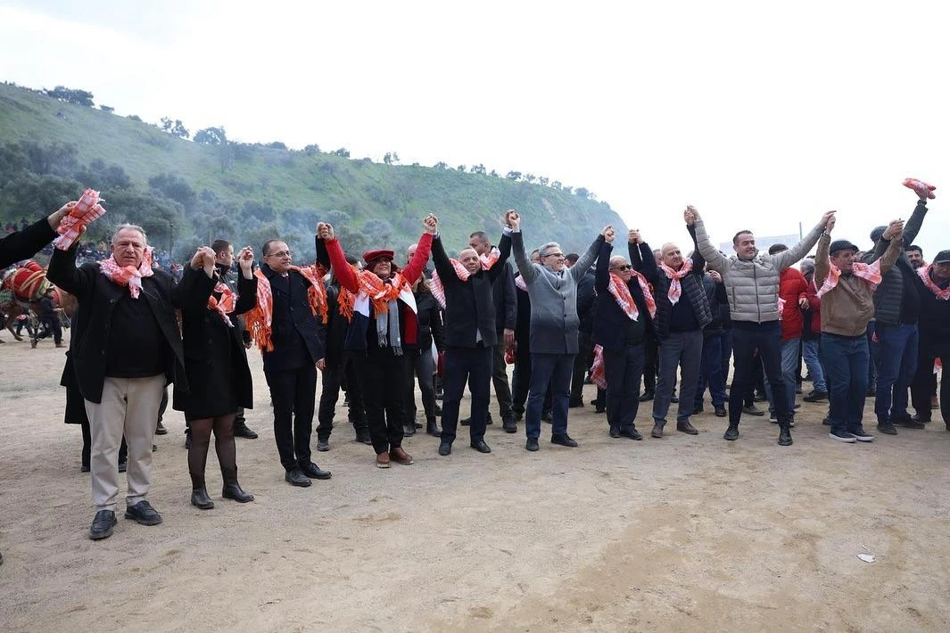 Kuyucak'taki deve güreşlerini 15 bin kişi izledi