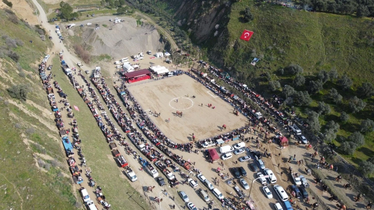 Kuyucak'taki deve güreşlerini 15 bin kişi izledi