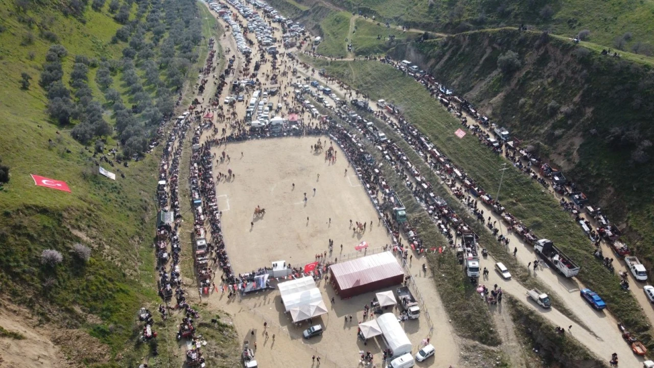 Kuyucak'taki deve güreşlerini 15 bin kişi izledi