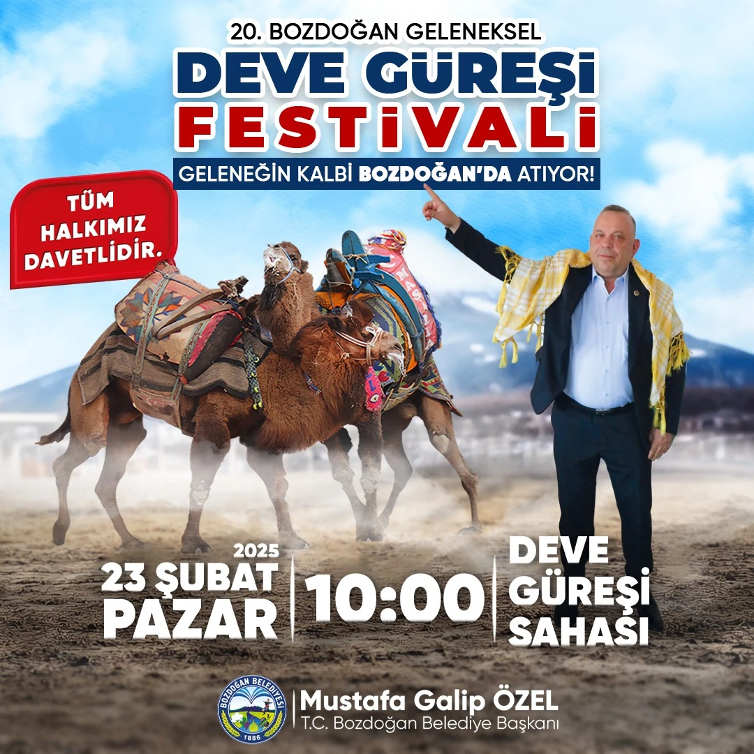 Bozdoğan’da 20. Geleneksel Deve Güreşleri Festivali İçin Geri Sayım Başladı!