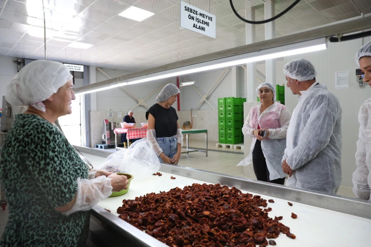 EFELER BELEDİYESİ’NİN YÖRESEL VE SAĞLIKLI ALIŞVERİŞ NOKTASI: EFE BAKKALLAR
