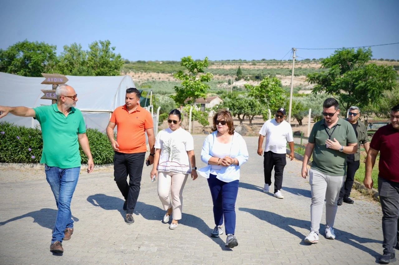 BAŞKAN GENÇAY, KEKİK HASADINA KATILDI