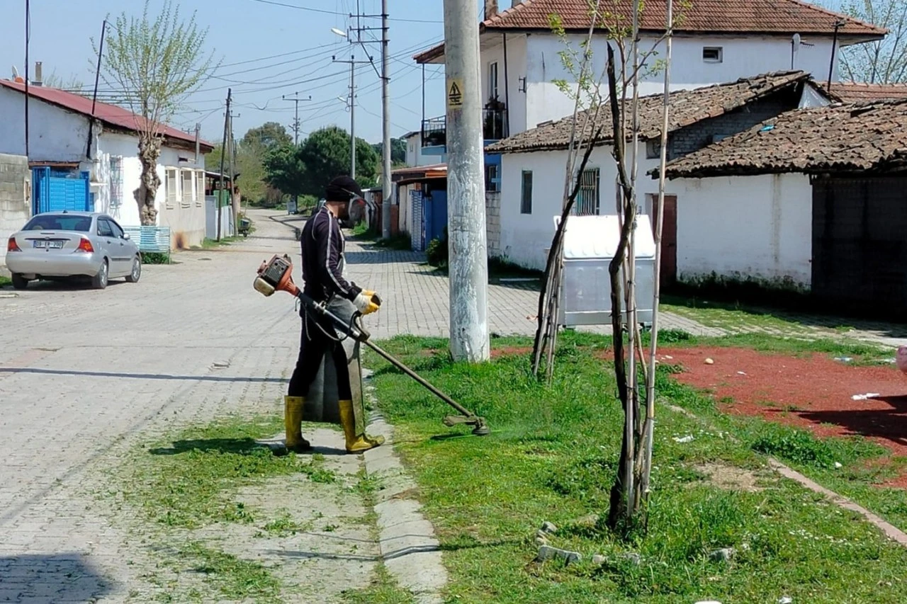 EFELER’İN YEŞİL ALANLARINDA BAKIM ÇALIŞMALARI DEVAM EDİYOR