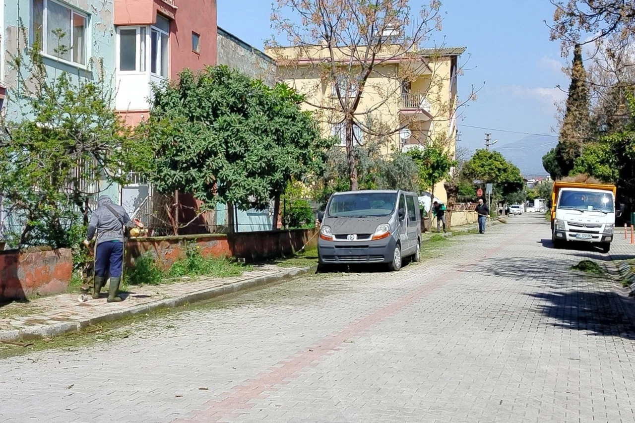 EFELER’İN YEŞİL ALANLARINDA BAKIM ÇALIŞMALARI DEVAM EDİYOR