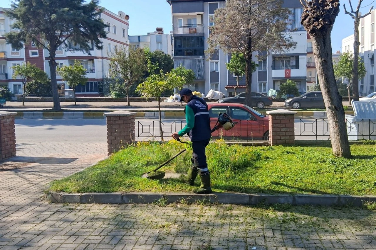 EFELER’İN YEŞİL ALANLARINDA BAKIM ÇALIŞMALARI DEVAM EDİYOR
