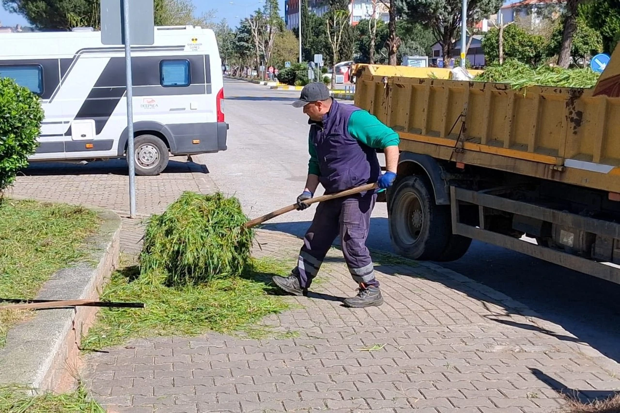 EFELER’İN YEŞİL ALANLARINDA BAKIM ÇALIŞMALARI DEVAM EDİYOR