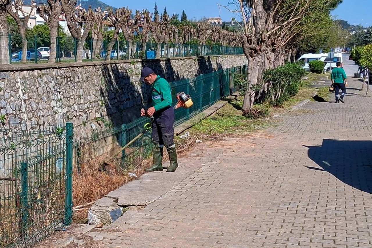 EFELER’İN YEŞİL ALANLARINDA BAKIM ÇALIŞMALARI DEVAM EDİYOR