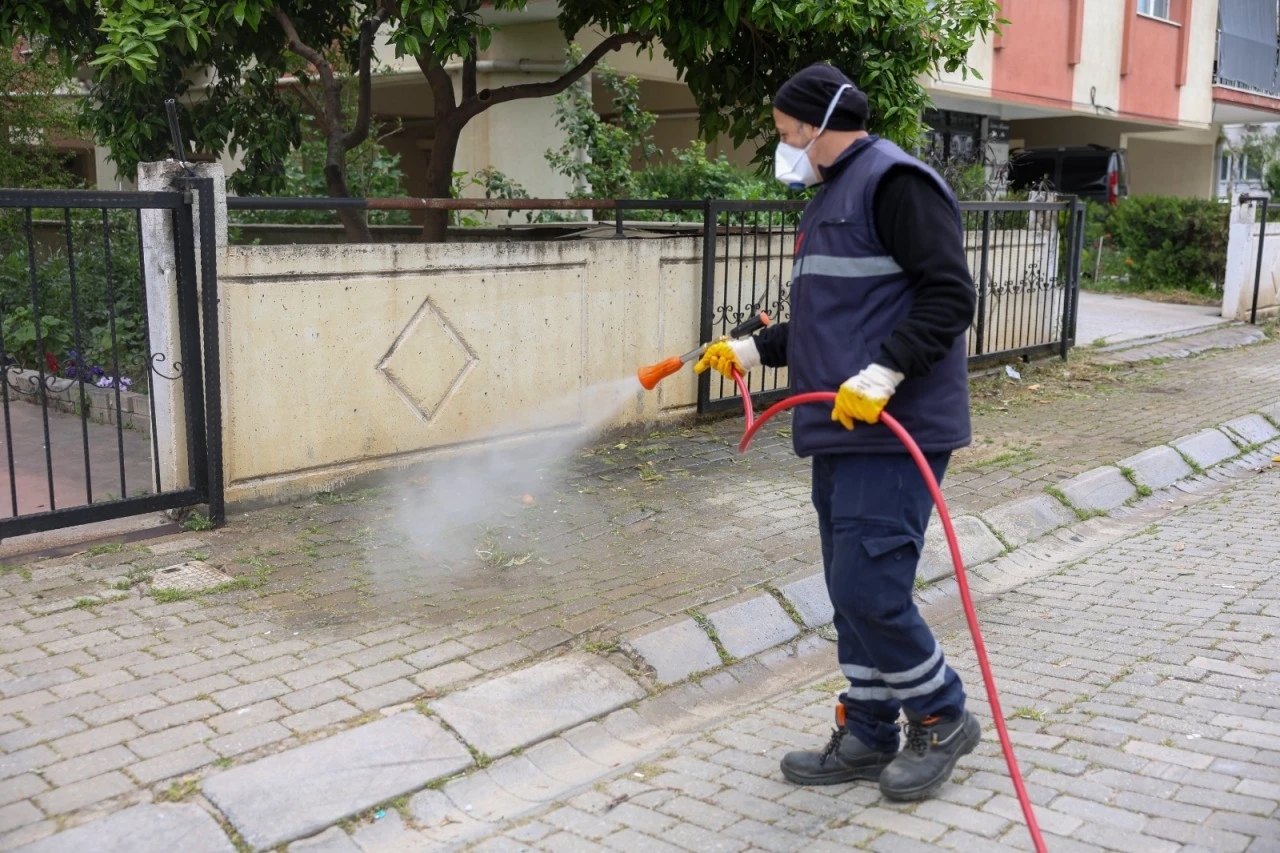 EFELER BELEDİYESİ HALK SAĞLIĞI VE KENT ESTETİĞİ İÇİN ÇALIŞMALARINI SÜRDÜRÜYOR