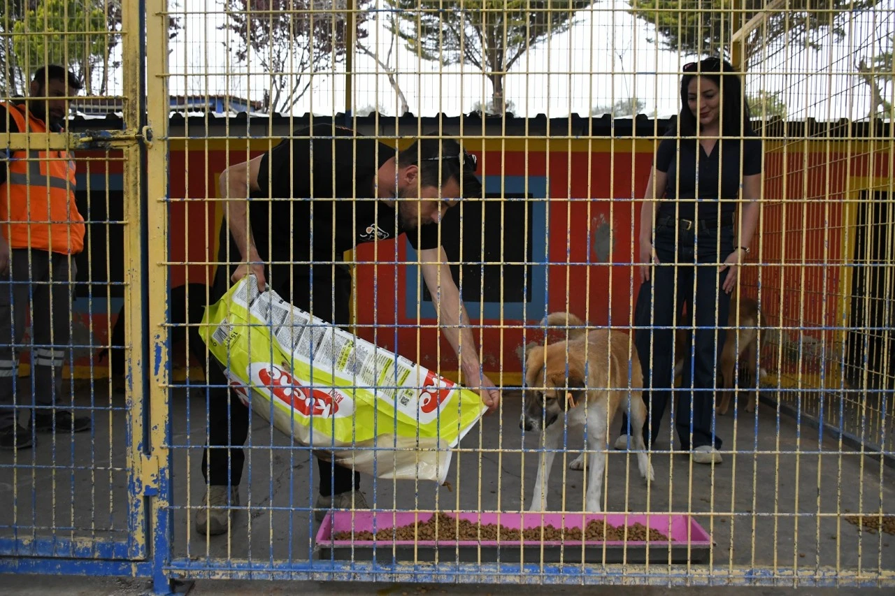 KUŞADASI’NDA CAN DOSTLARINA DEV DESTEK: 3 TON MAMA BAĞIŞI