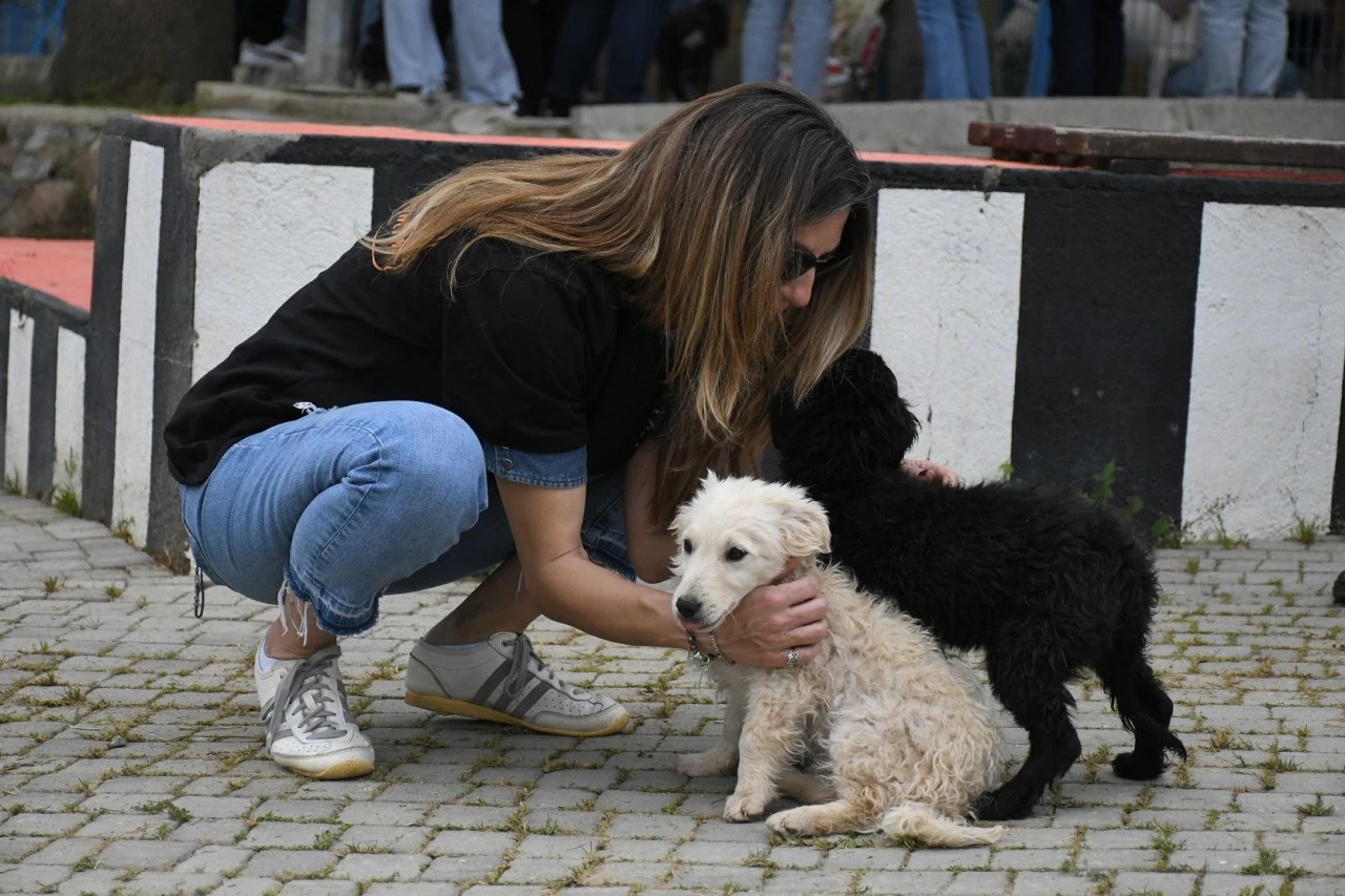 KUŞADASI’NDA CAN DOSTLARINA DEV DESTEK: 3 TON MAMA BAĞIŞI