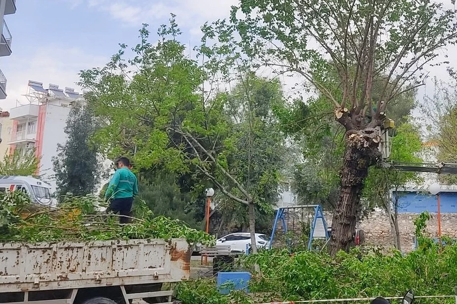 EFELER BELEDİYESİ ÇALIŞIYOR