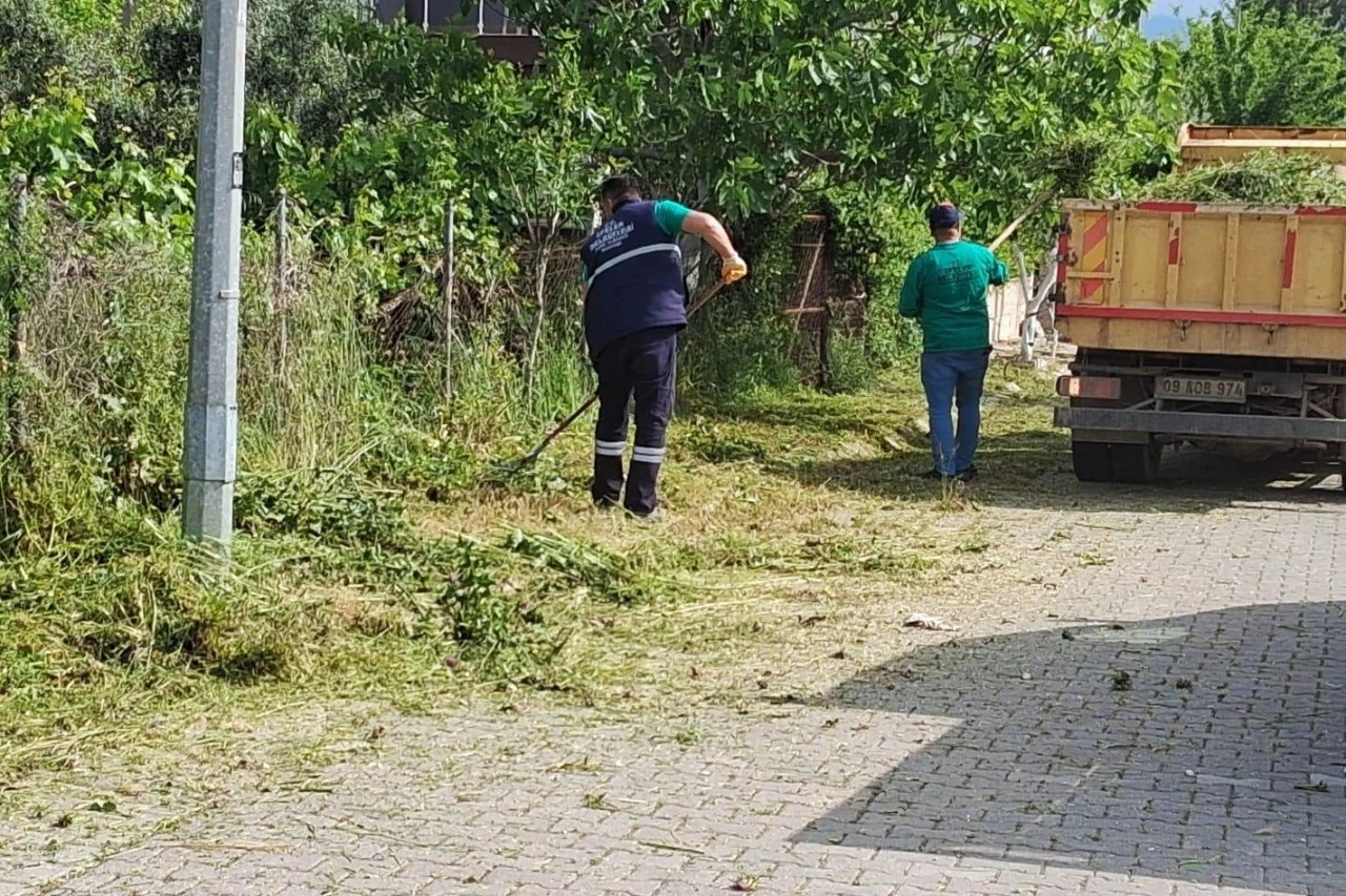 EFELER’DE YEŞİL ALANLARA NEFES ALDIRAN KAPSAMLI BAKIM ÇALIŞMALARI SÜRÜYOR