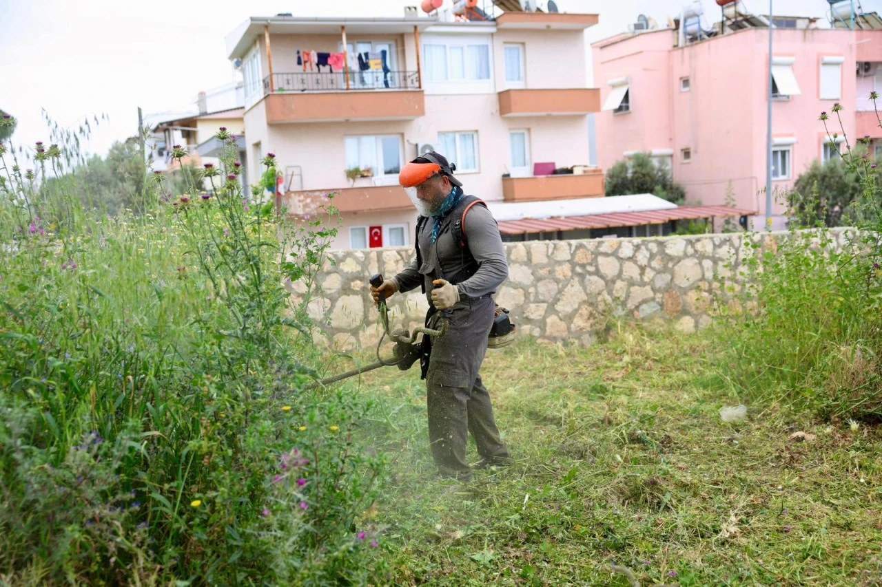 Didim Belediyesi’nden Okullarda Ot Biçme ve Çevre Düzenleme Çalışması