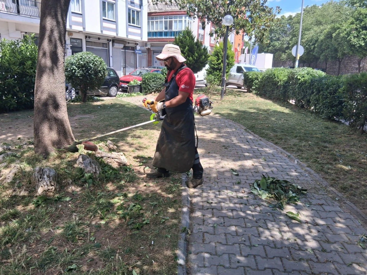 EFELER’İN YEŞİL ALANLARINDA BAKIM ÇALIŞMALARI DEVAM EDİYOR