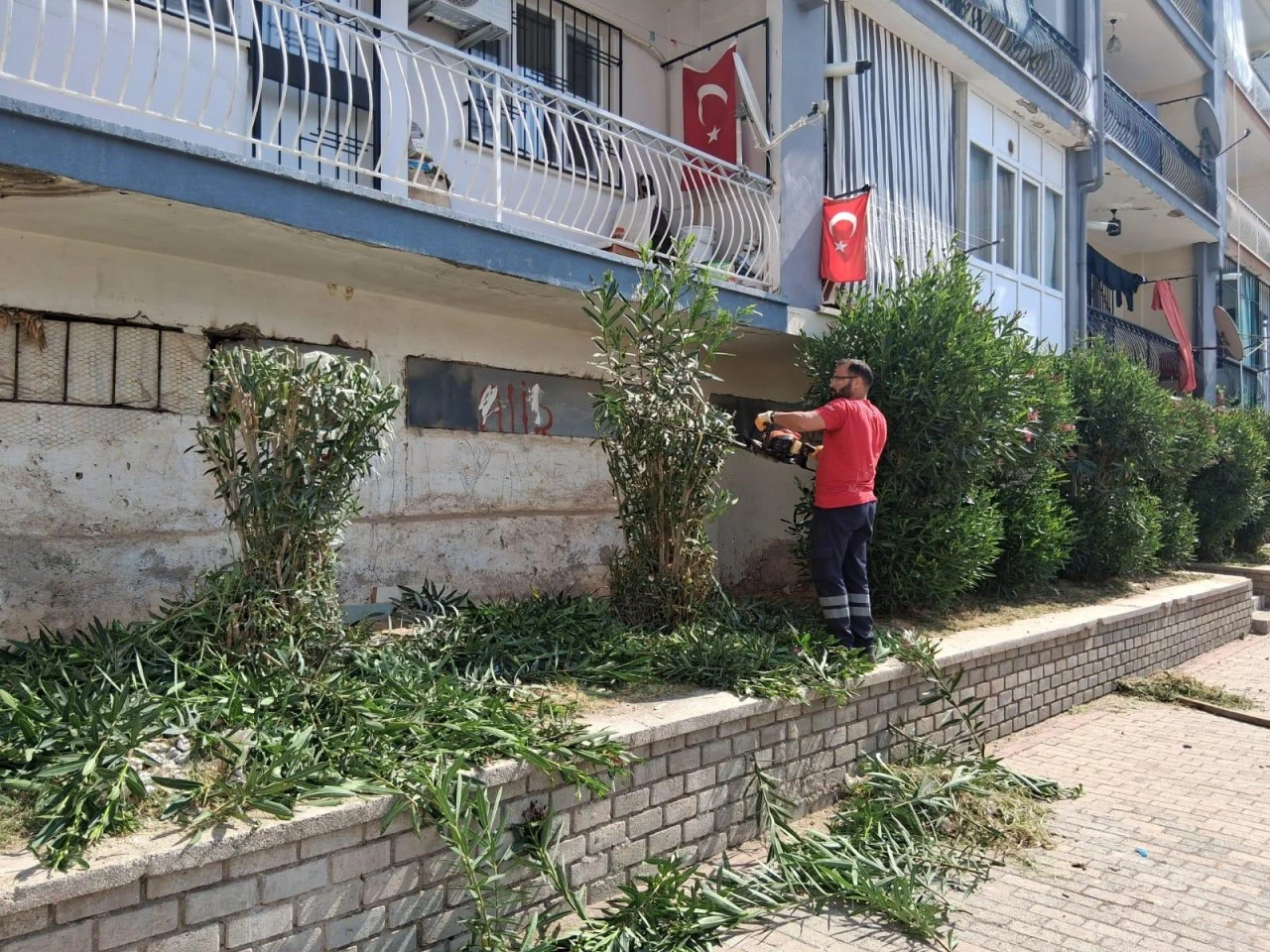 EFELER’İN YEŞİL ALANLARINDA BAKIM ÇALIŞMALARI DEVAM EDİYOR