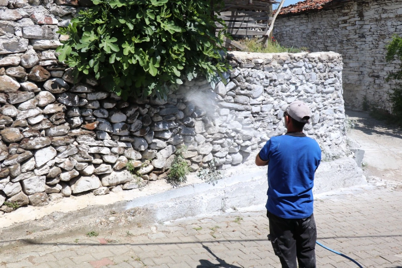 BOZDOĞAN’DA HAŞEREYE KARŞI KİREÇLEME ÇALIŞMALARI SÜRÜYOR