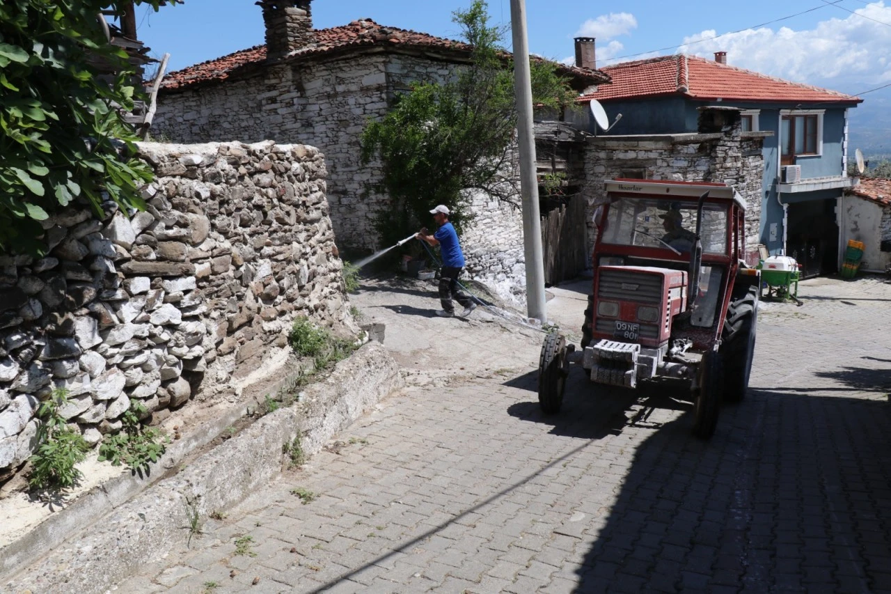 BOZDOĞAN’DA HAŞEREYE KARŞI KİREÇLEME ÇALIŞMALARI SÜRÜYOR