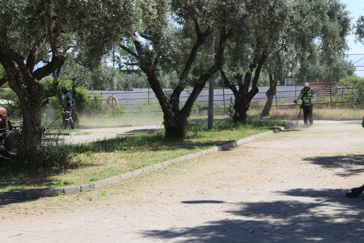 NAZİLLİ BELEDİYESİ’NDEN PARK VE YEŞİL ALANLARDA TEMİZLİK SEFERBERLİĞİ