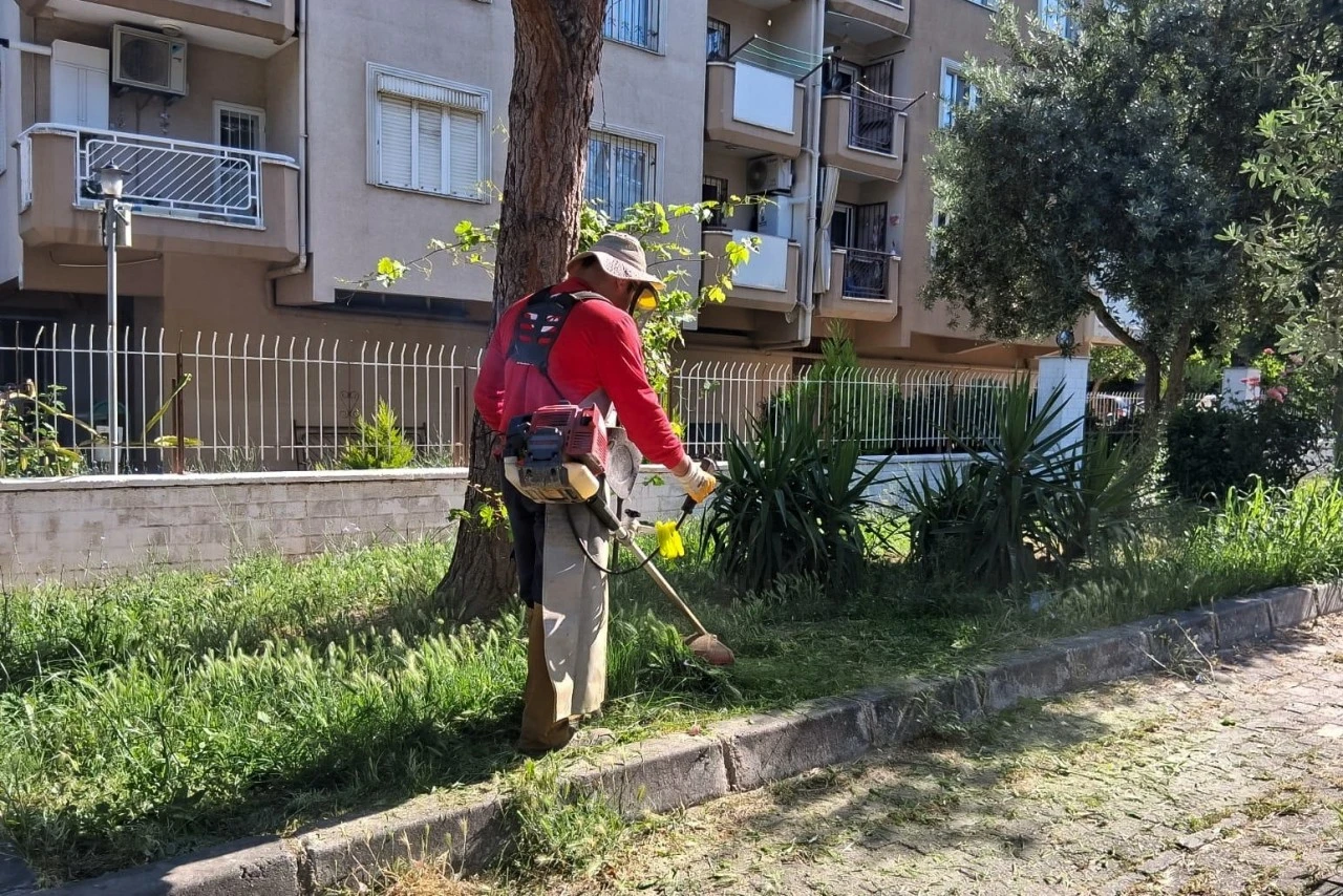 EFELER’İN YEŞİL ALANLARINDA YAZ TEMİZLİĞİ