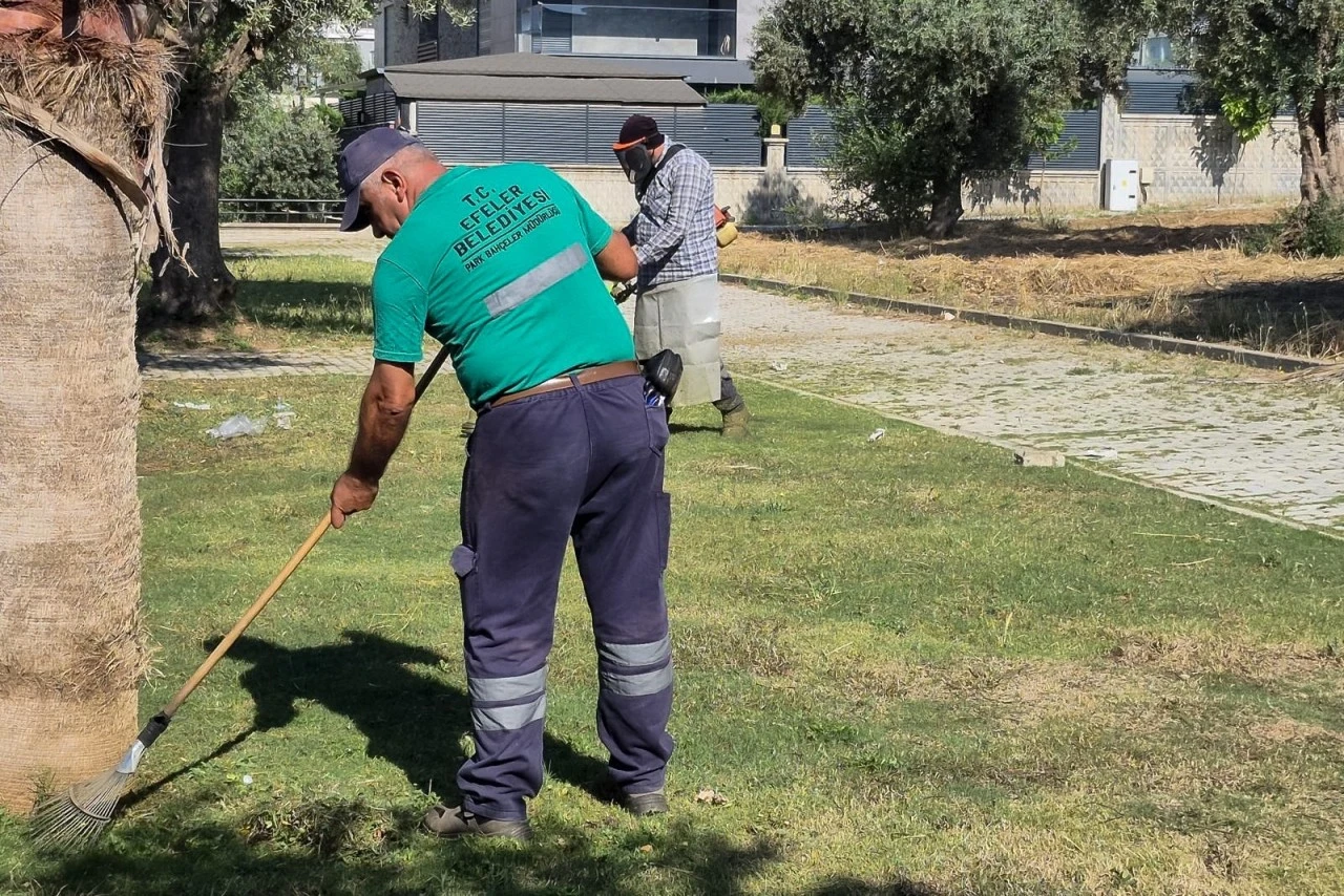 EFELER’İN YEŞİL ALANLARINDA YAZ TEMİZLİĞİ