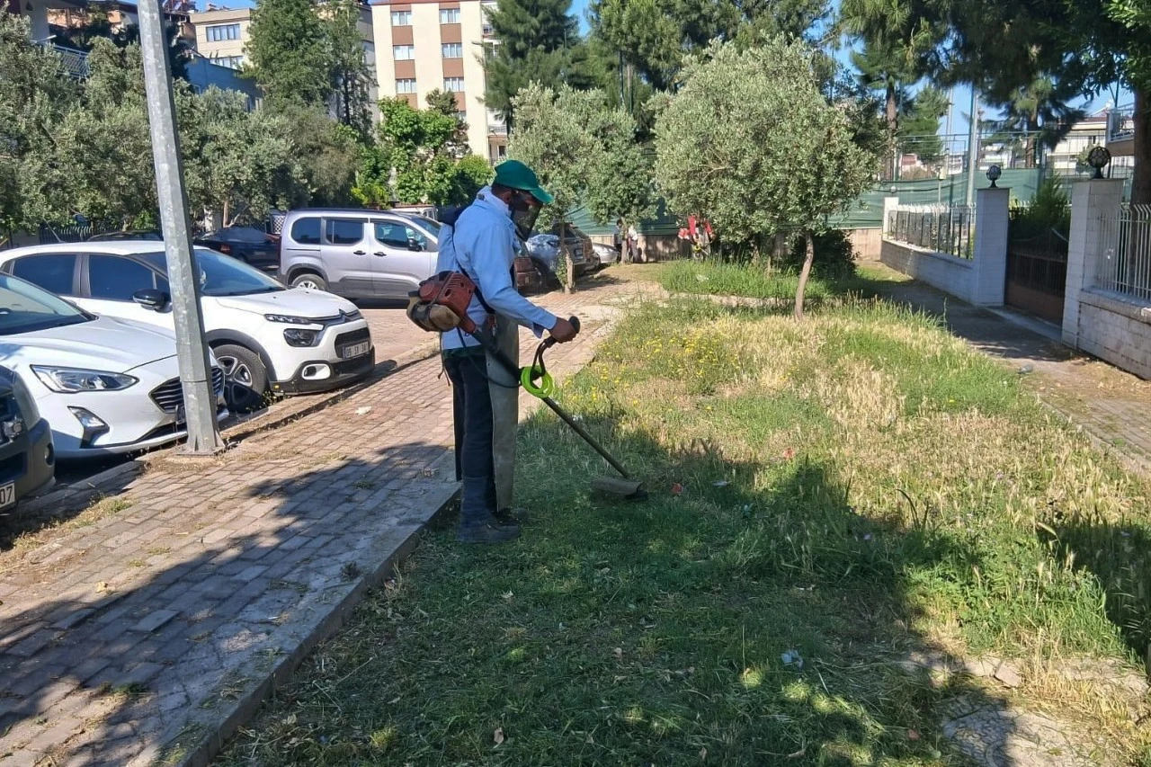 EFELER’İN YEŞİL ALANLARINDA YAZ TEMİZLİĞİ