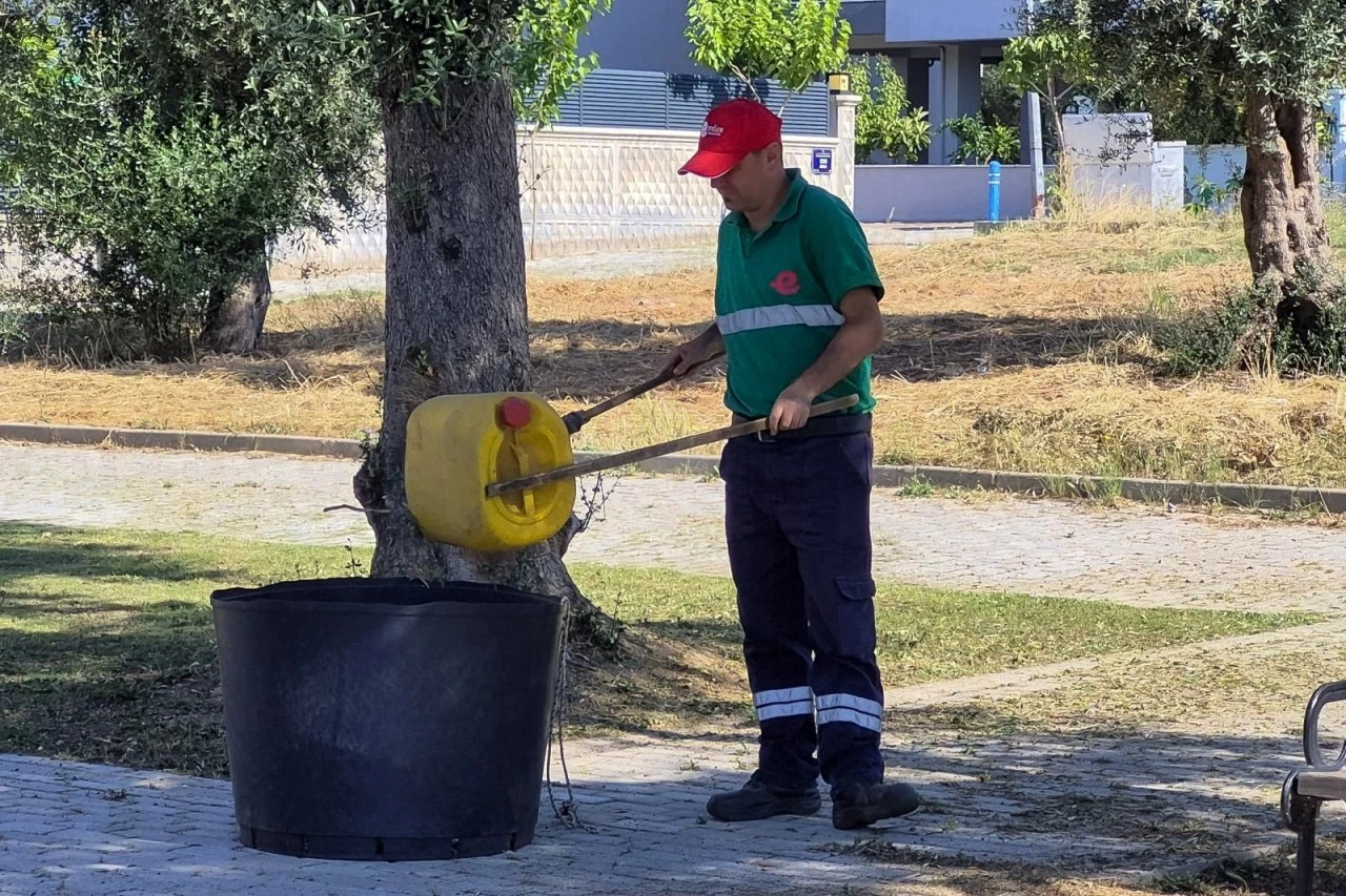 EFELER’İN YEŞİL ALANLARINDA YAZ TEMİZLİĞİ