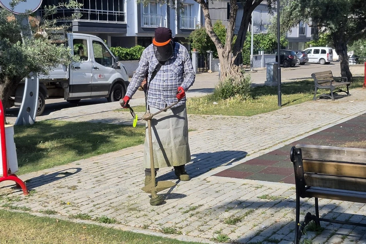 EFELER’İN YEŞİL ALANLARINDA YAZ TEMİZLİĞİ