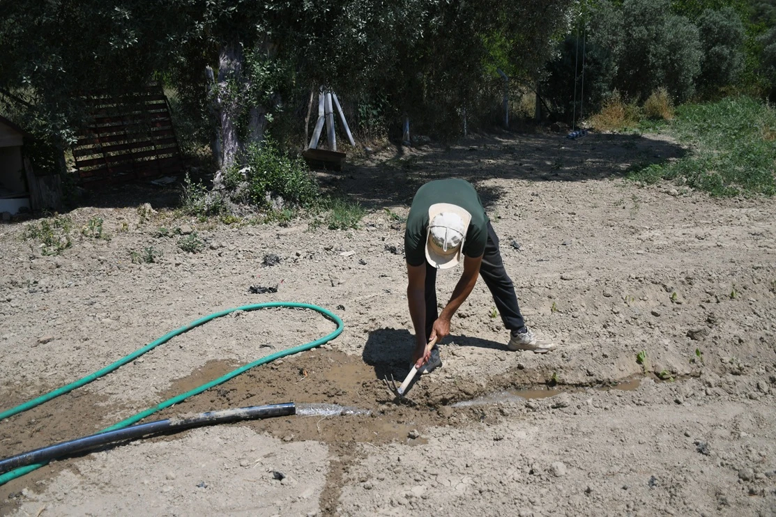 ADA BAHÇE YAZ HASADINA GÜN SAYIYOR