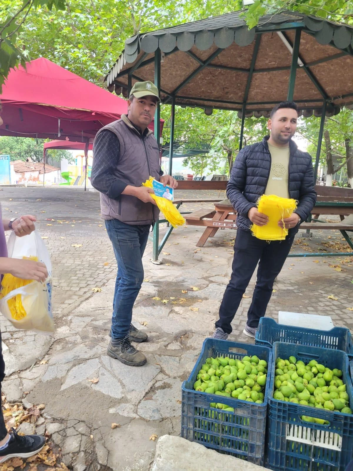 BAŞKAN ZENCİRCİ İNCİR ÜRETİCİLERİNE İĞLEK TORBASI DAĞITTI