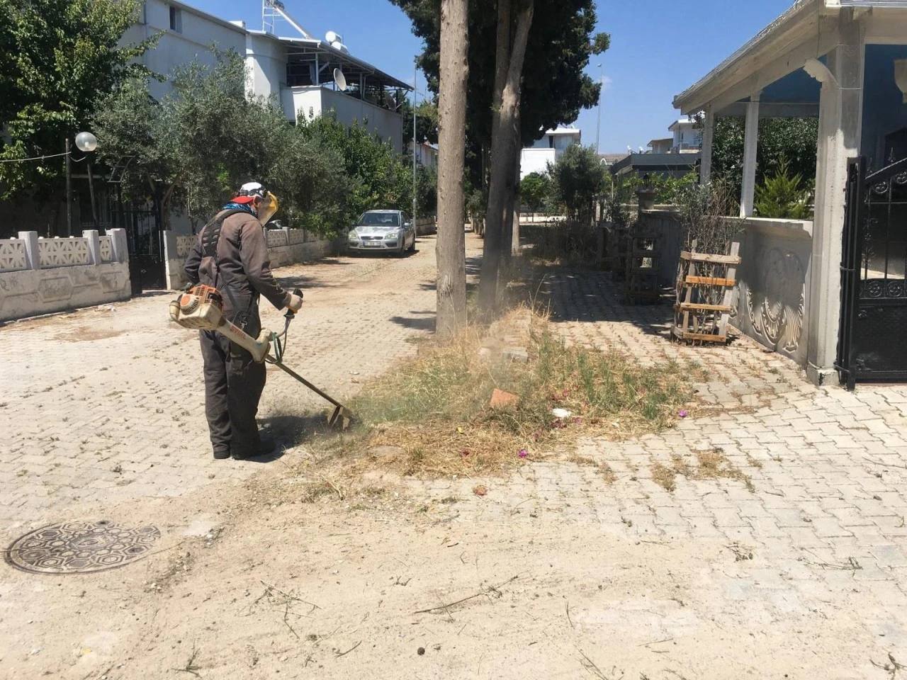 DİDİM BELEDİYESİ YEŞİL ALANLARDA BAKIM ÇALIŞMALARINI SÜRDÜRÜYOR