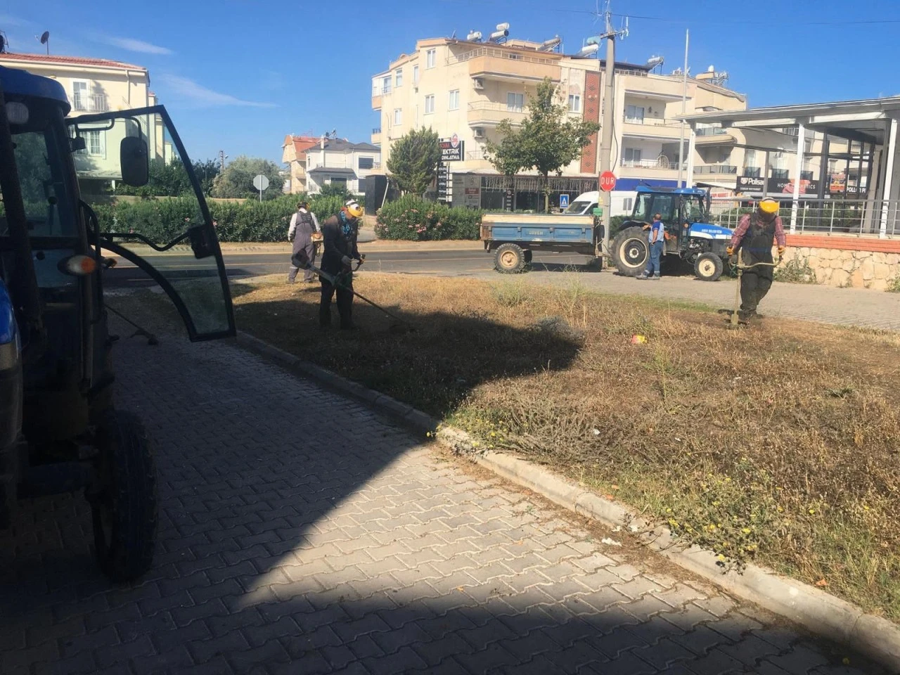 DİDİM BELEDİYESİ YEŞİL ALANLARDA BAKIM ÇALIŞMALARINI SÜRDÜRÜYOR